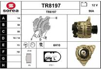 Dynamo / Alternator (Gereviseerd)