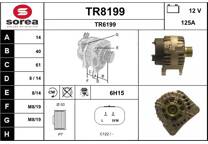 Dynamo / Alternator (Gereviseerd)