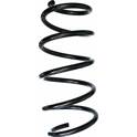 Coil Spring SPIDAN - 87505