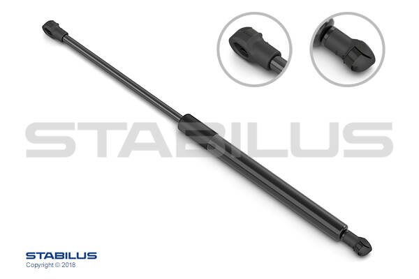 Bonnet gas struts