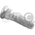 Wielbout STC - T439263