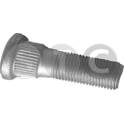 Wielbout STC - T439354