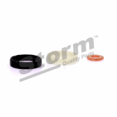 Afdichting, injector STORM - 460003