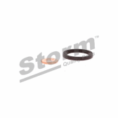 Afdichting, injector STORM - 460007
