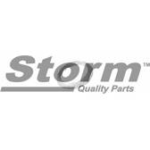 Dichtring, Abgasrohr STORM - F1605