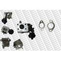 EGR Valve STORM - 9096