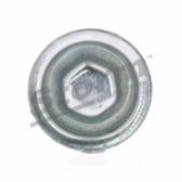 Frost Plug STORM - F11484