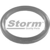 Gasket, coolant pipe STORM - F2113