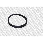 Gasket, thermostat STORM - F1746