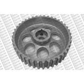 Gear/Sprocket, camshaft STORM - 10661