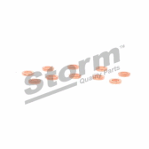 Bolsa de 10 precintos (porta inyectores) STORM - 46000000916