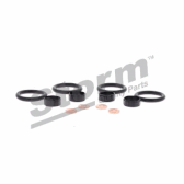 Kit de joints (injecteur) STORM - 460008