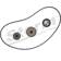 nop