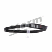 Poly V-riem STORM - STO5PK1148