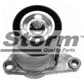 Repair Kit, v-ribbed belt tensioner STORM - F11485