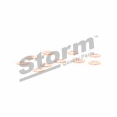 Bag of 10 seals (injector holder) STORM - 46000000917
