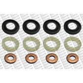 Seal Kit- injector nozzle STORM - 460010