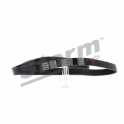 V-Ribbed Belts STORM - STO6PK1613