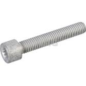 Schraube, Gelenkwellenflansch SWAG - 30 86 0001