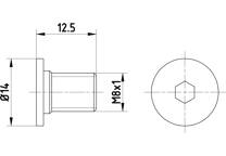 Bolt, brake disc