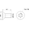 Brake drums (2-wheel set) Bolt, brake disc TEXTAR - TPM0016