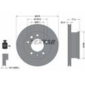 Bremssatz (2 Bremsscheiben) TEXTAR - 92131503
