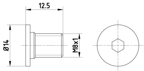 Bolt, brake disc