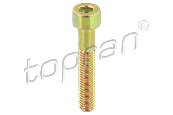 Bolt, brake caliper