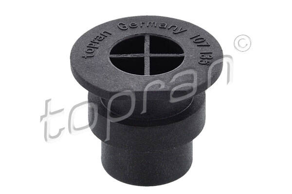 Plug, coolant flange