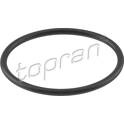 Pakking, brandstofpomp TOPRAN - 100 842