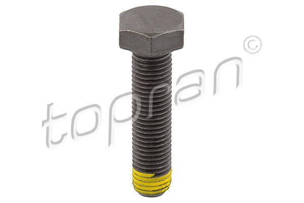 Flywheel Bolt