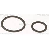 Afdichting, injector TRISCAN - 596-1001