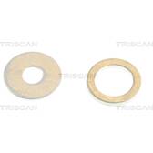 Afdichting, injector TRISCAN - 596-1010