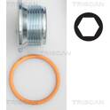 Afsluitschroef, oliepan TRISCAN - 9500 2301