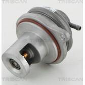 AGR-Ventil TRISCAN - 8813 23017