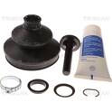 Asmanchetten set TRISCAN - 8540 29844