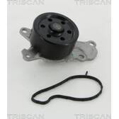 Bomba de agua, refrigeración del motor TRISCAN - 8600 10039