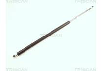 Bonnet gas struts