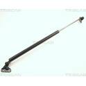 Boot struts TRISCAN - 8710 10201
