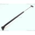 Boot struts TRISCAN - 8710 10202