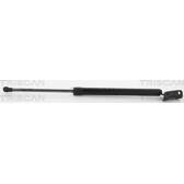 Boot struts TRISCAN - 8710 10218