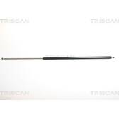 Boot struts TRISCAN - 8710 25227