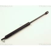 Boot struts TRISCAN - 8710 2809