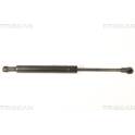 Boot struts TRISCAN - 8710 28241