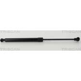 Boot struts TRISCAN - 8710 28247