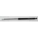 Boot struts TRISCAN - 8710 28293