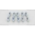 Breather Screw / Valve (x10) TRISCAN - 8105 3655