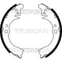 Bremsbackensatz TRISCAN - 8100 41612