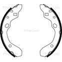 Bremsbackensatz TRISCAN - 8100 50546