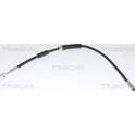 Bremsschlauch TRISCAN - 8150 10236
